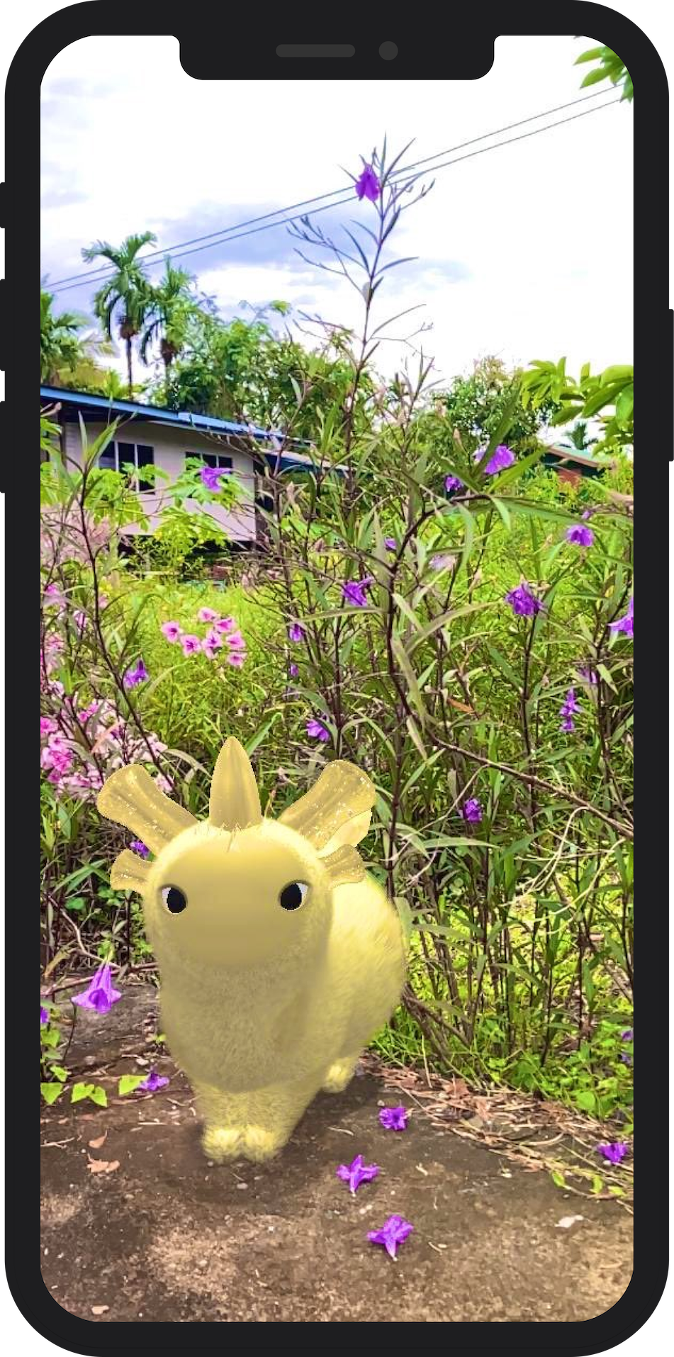 AR photo of Dot in a grassy field by @NoraNakajima