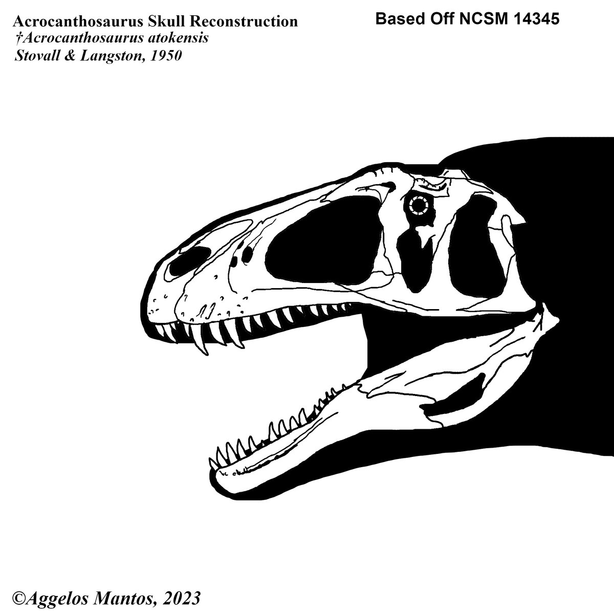 Acrocanthosaurus