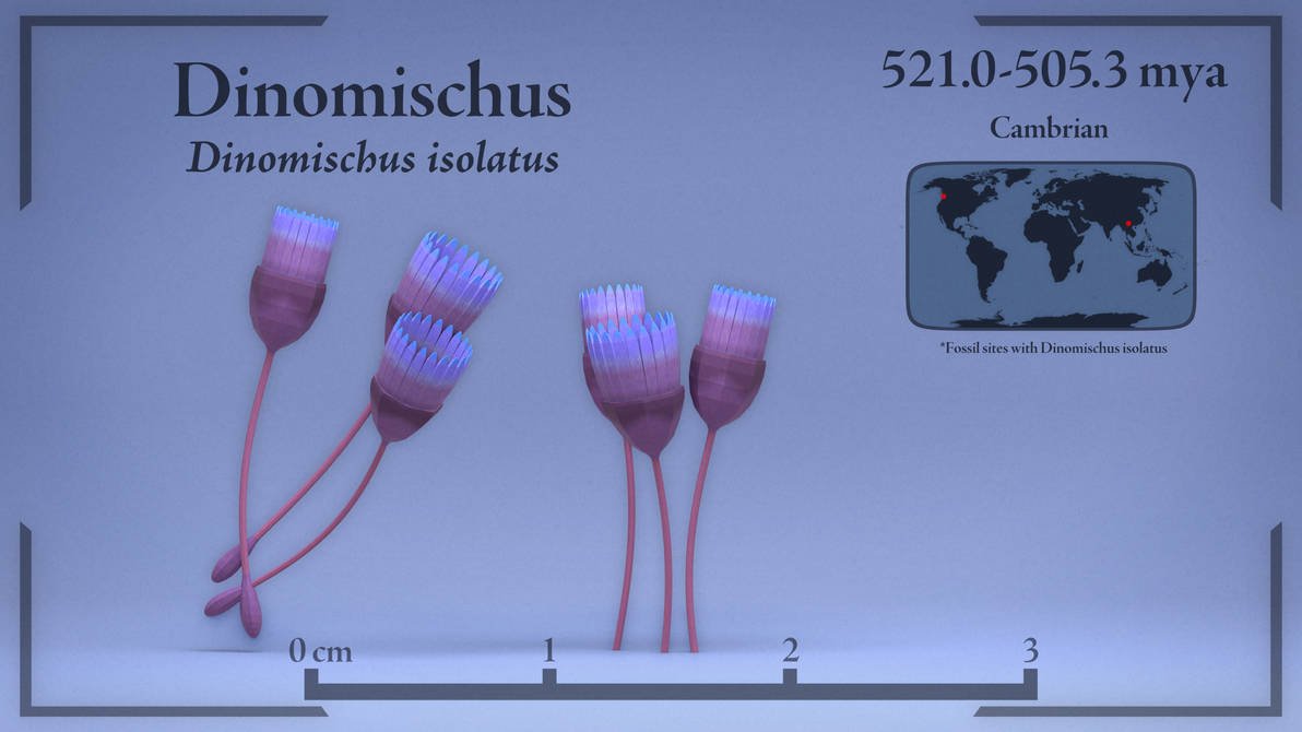 Dinomischus