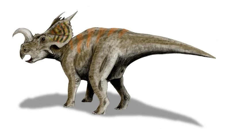 Einiosaurus