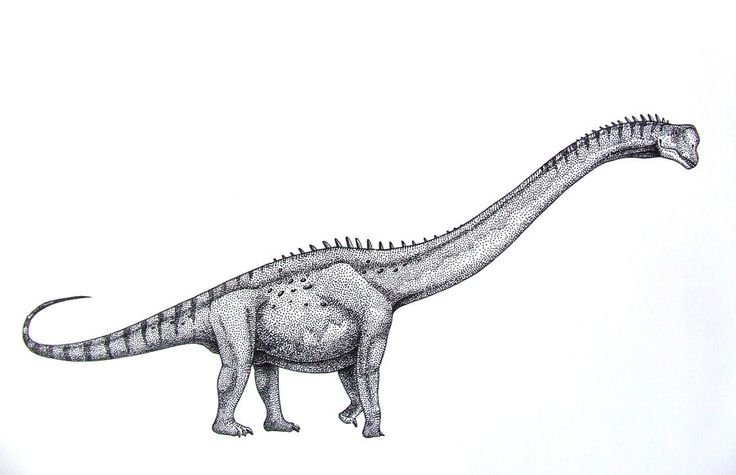 Europasaurus
