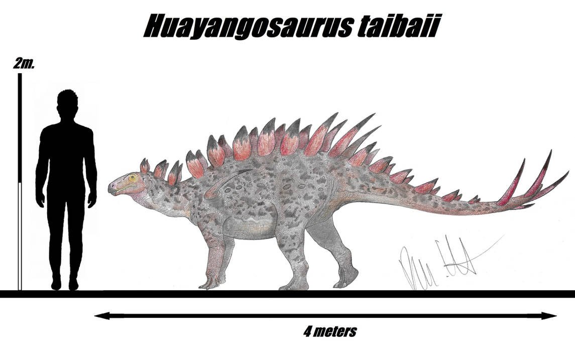 Huayangosaurus