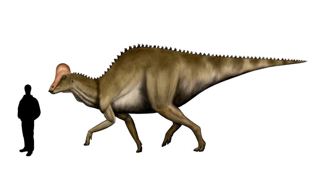 Hypacrosaurus