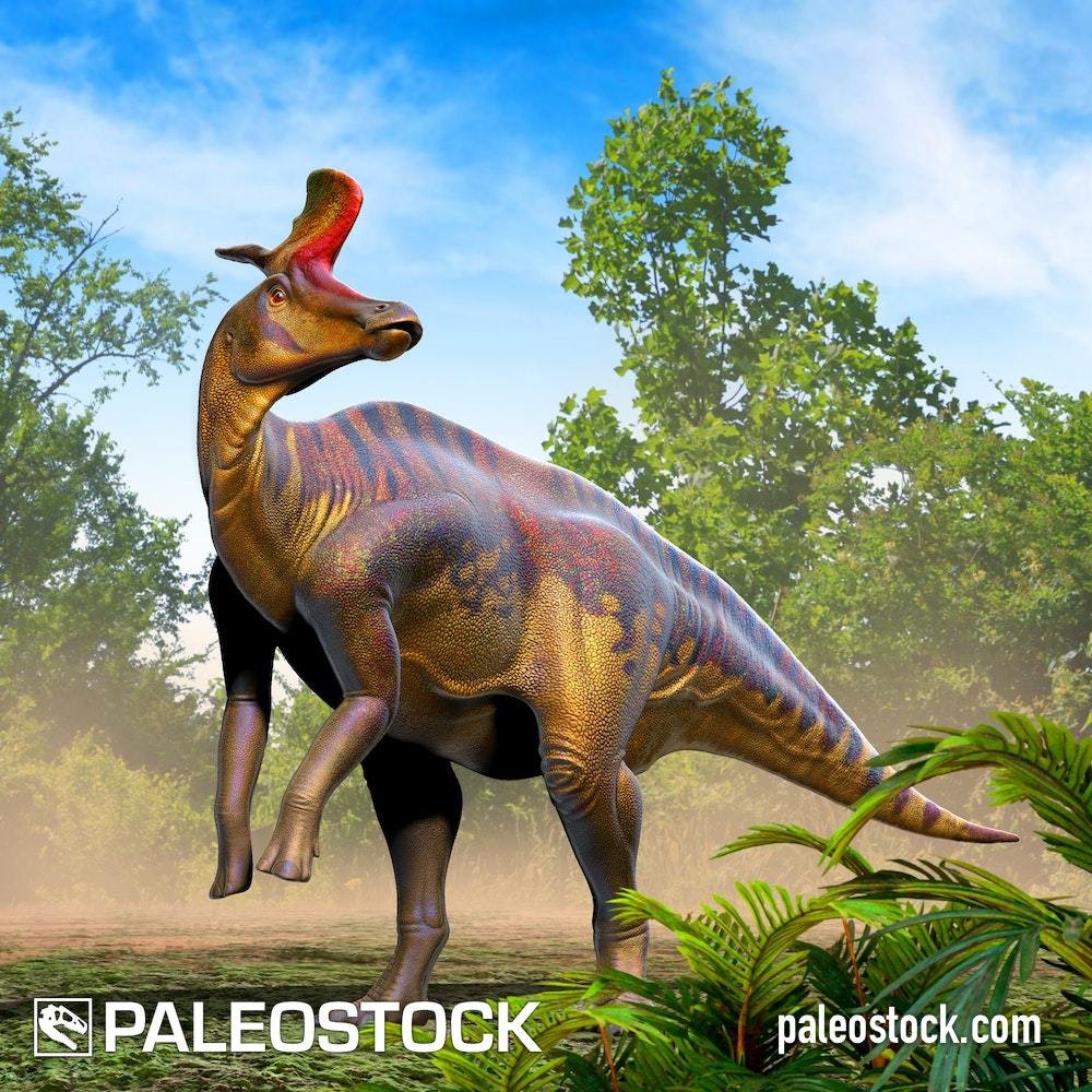 Lambeosaurus