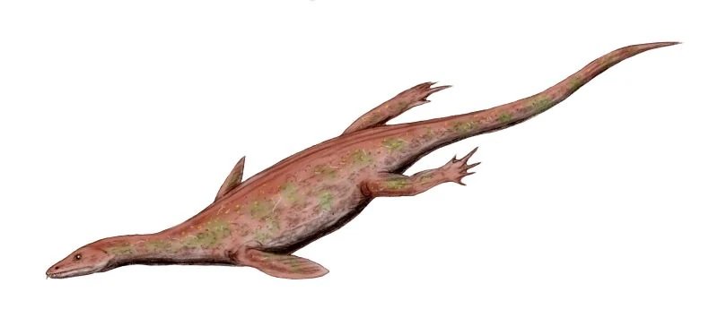 Lariosaurus