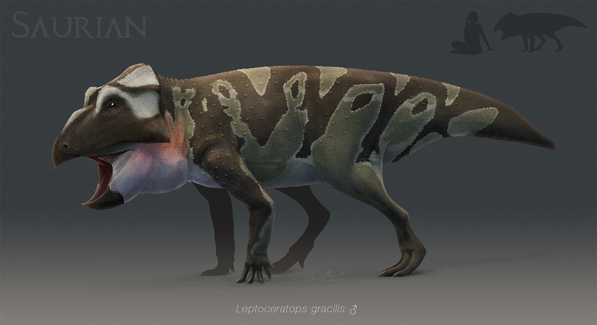 Leptoceratops