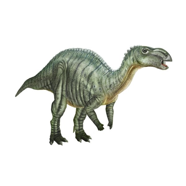 Muttaburrasaurus