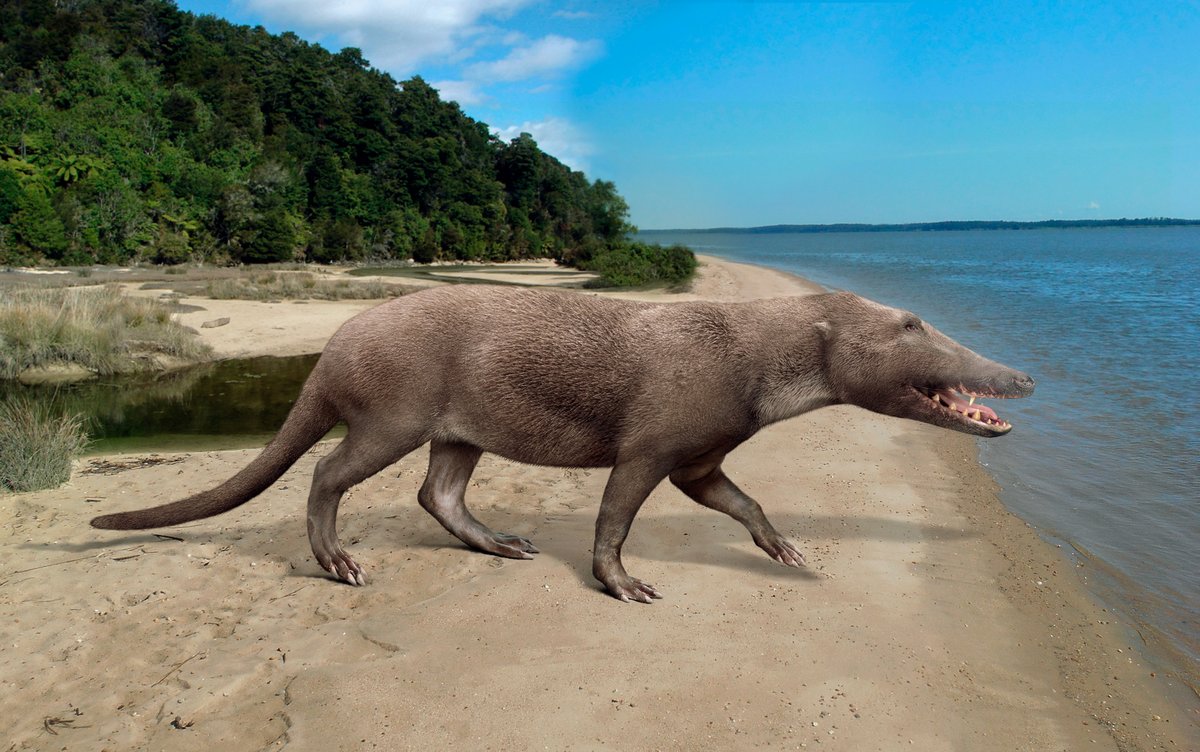 Pakicetus