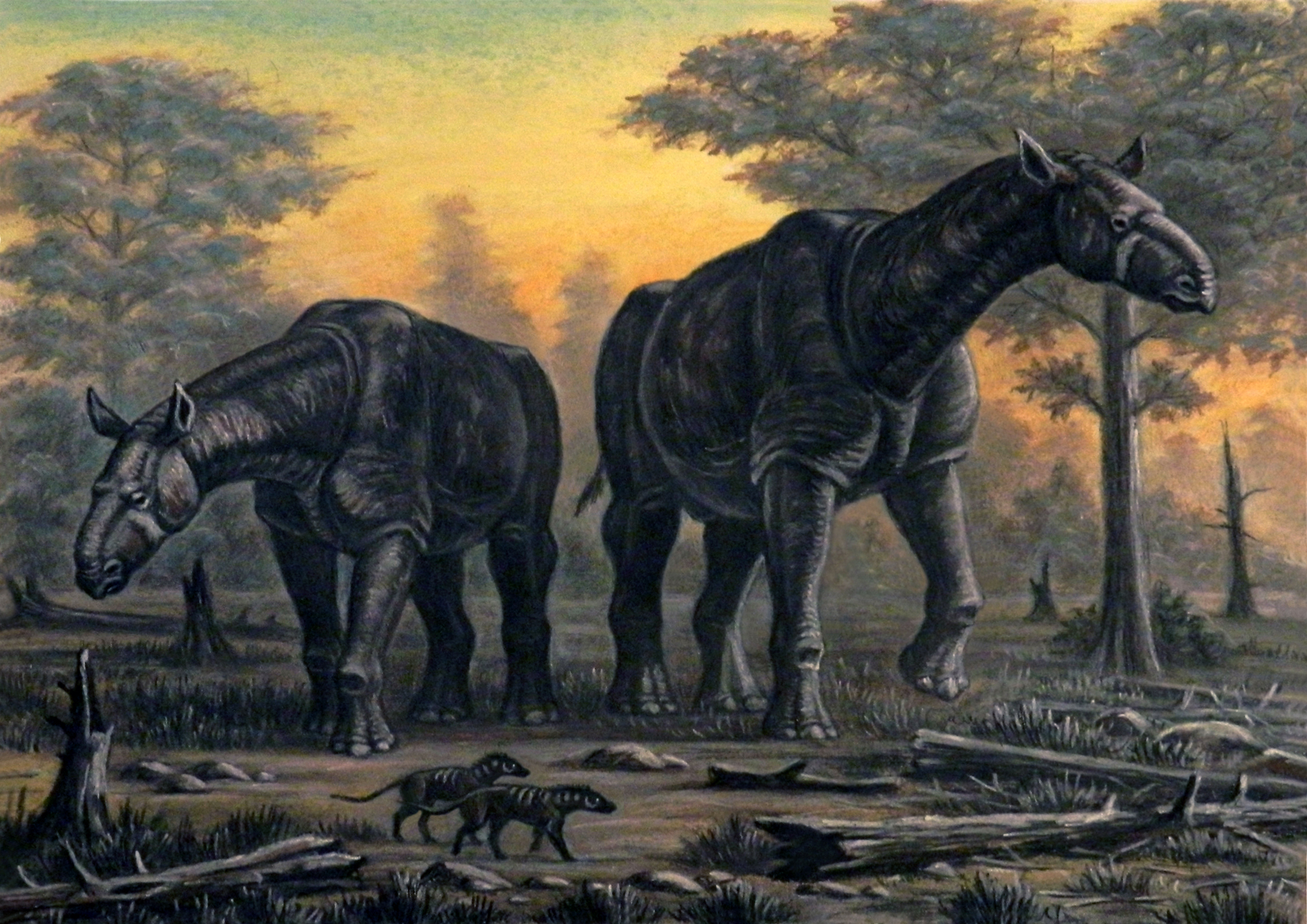 Paraceratherium