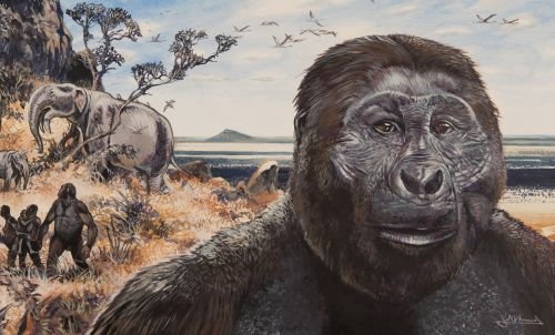 Paranthropus boisei