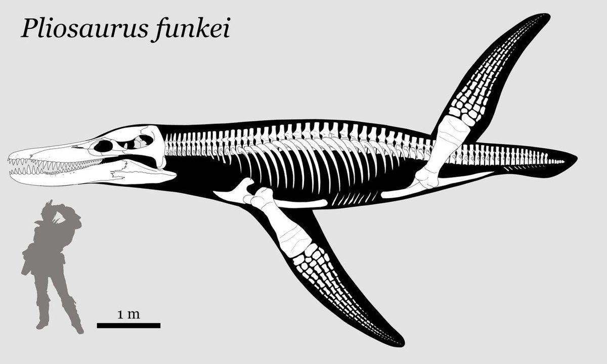 Pliosaurus