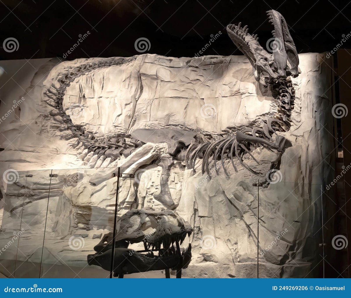 Sue the T. rex (FMNH PR 2081)