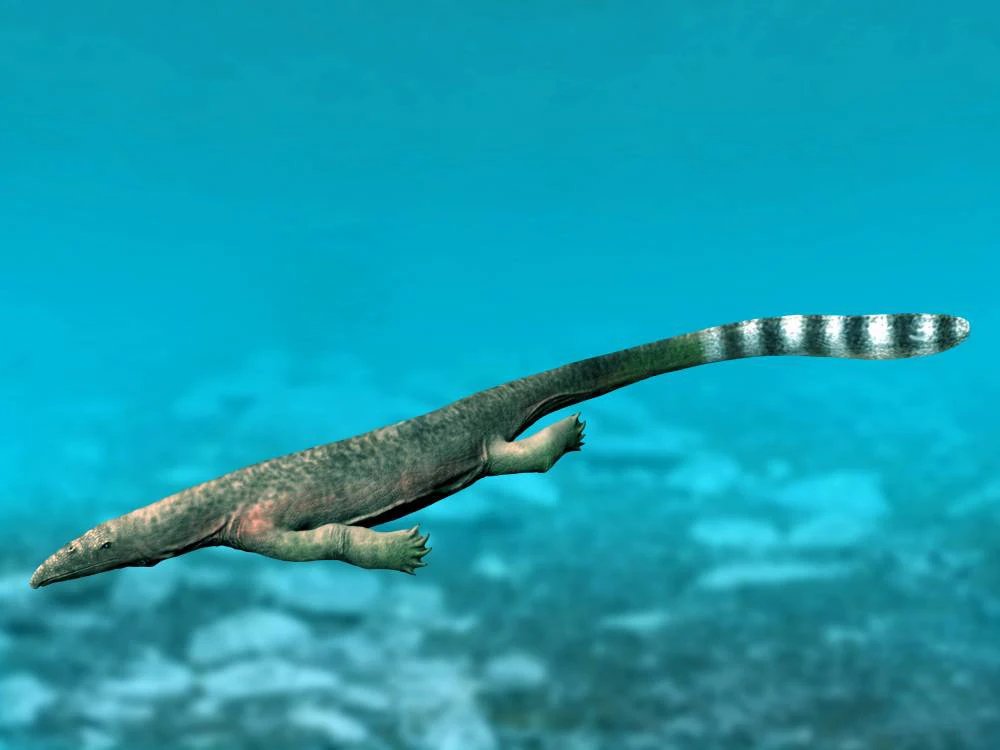 Thalattosaurus