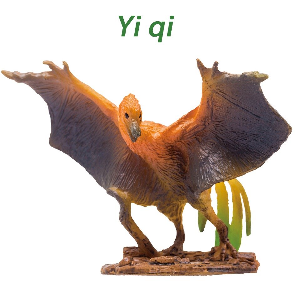 Yi qi