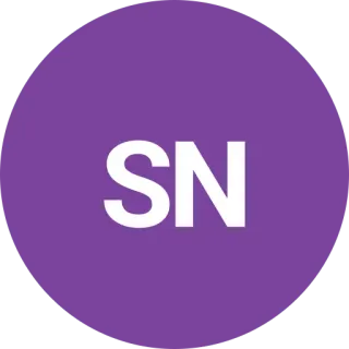 Streaks 'n' Strokes logo