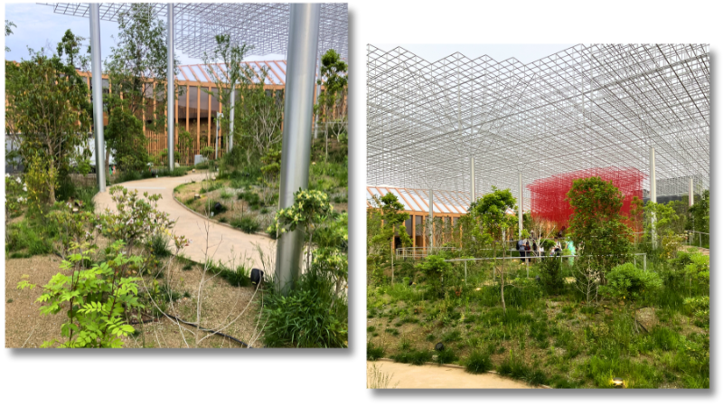 シグレチャーパビリオン「Better Co-Being」の様子(一部)