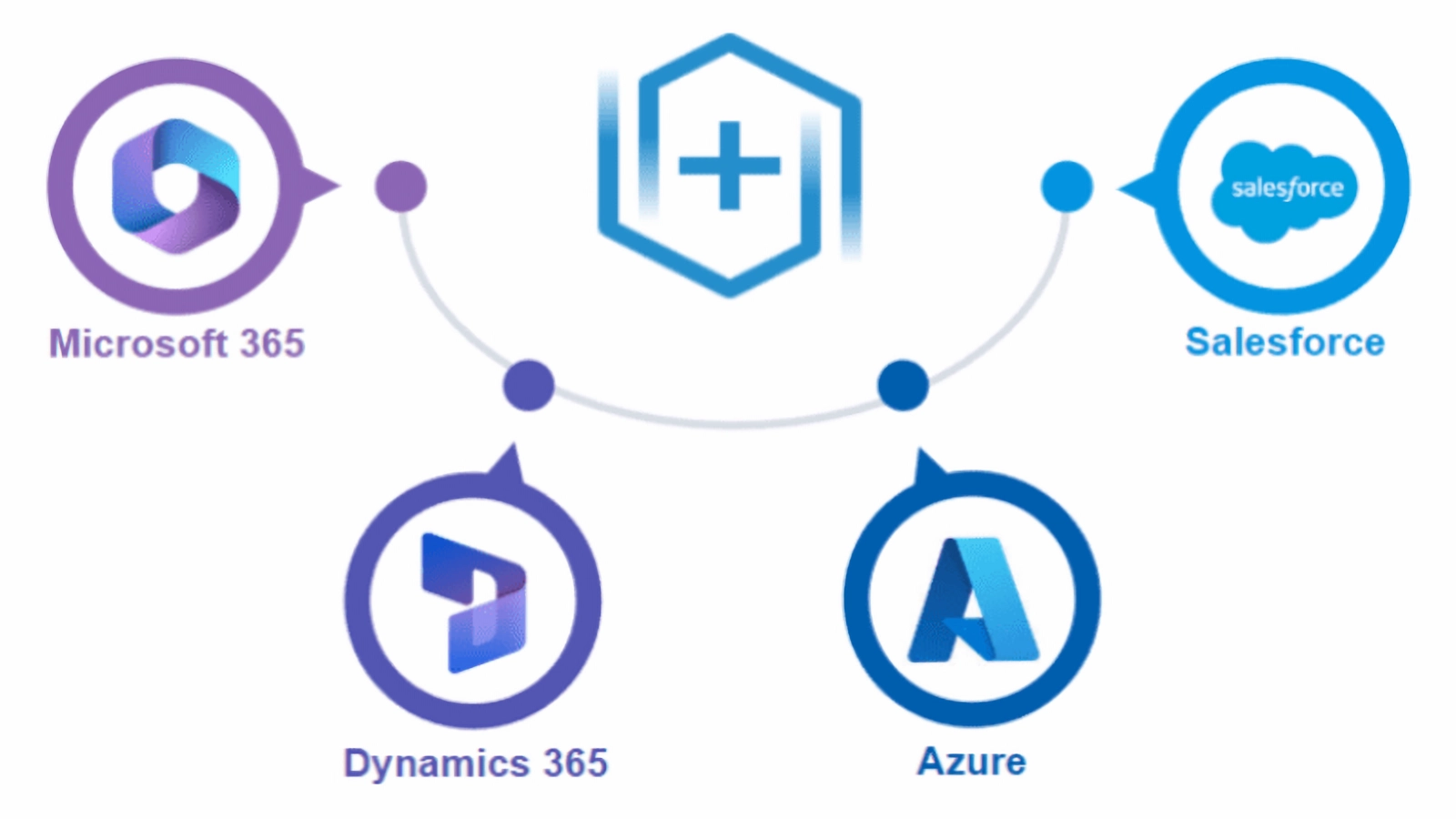 IBM Storage Protect for Cloud 概要