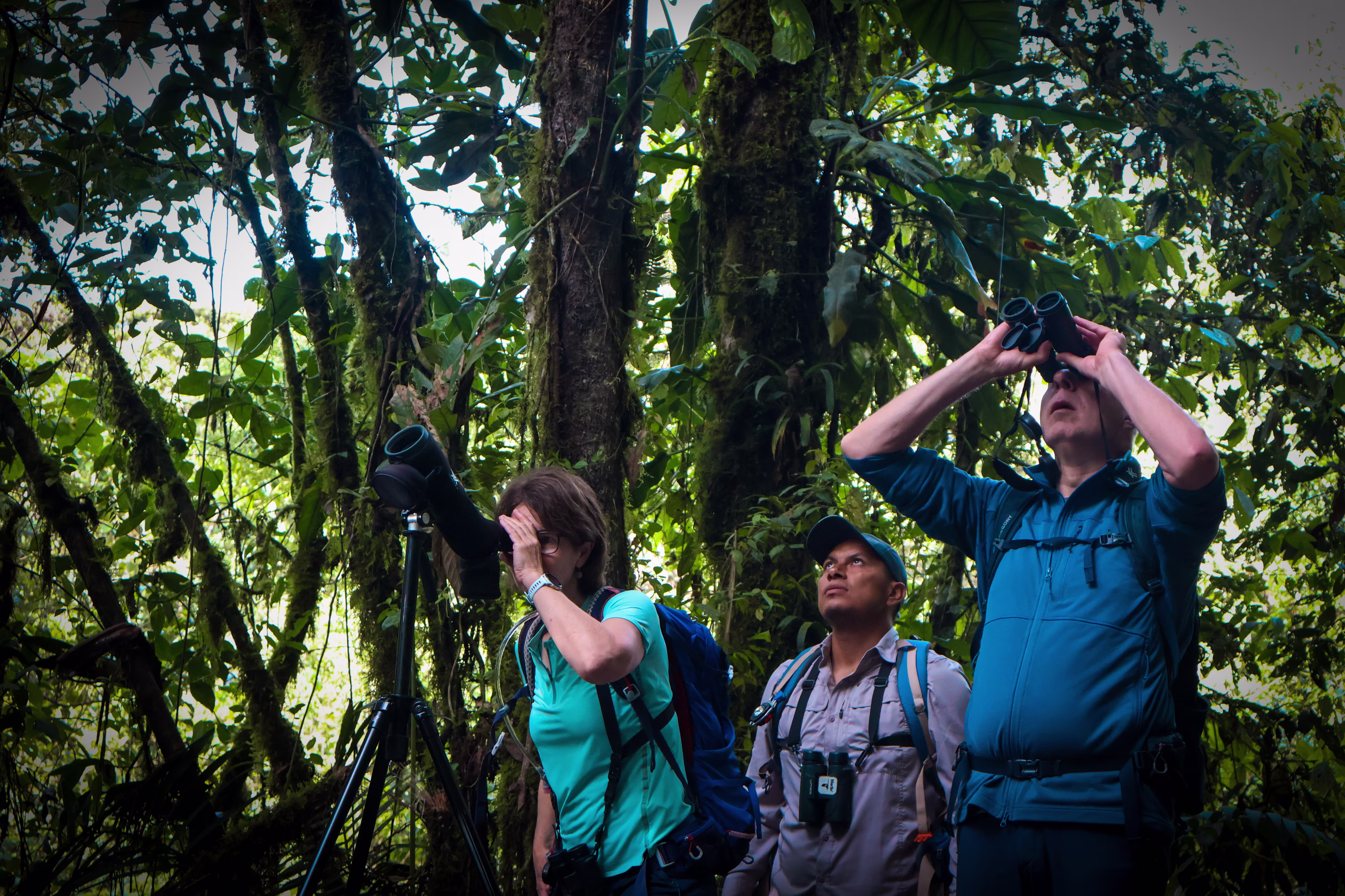 gallery.item.birdwatching_28