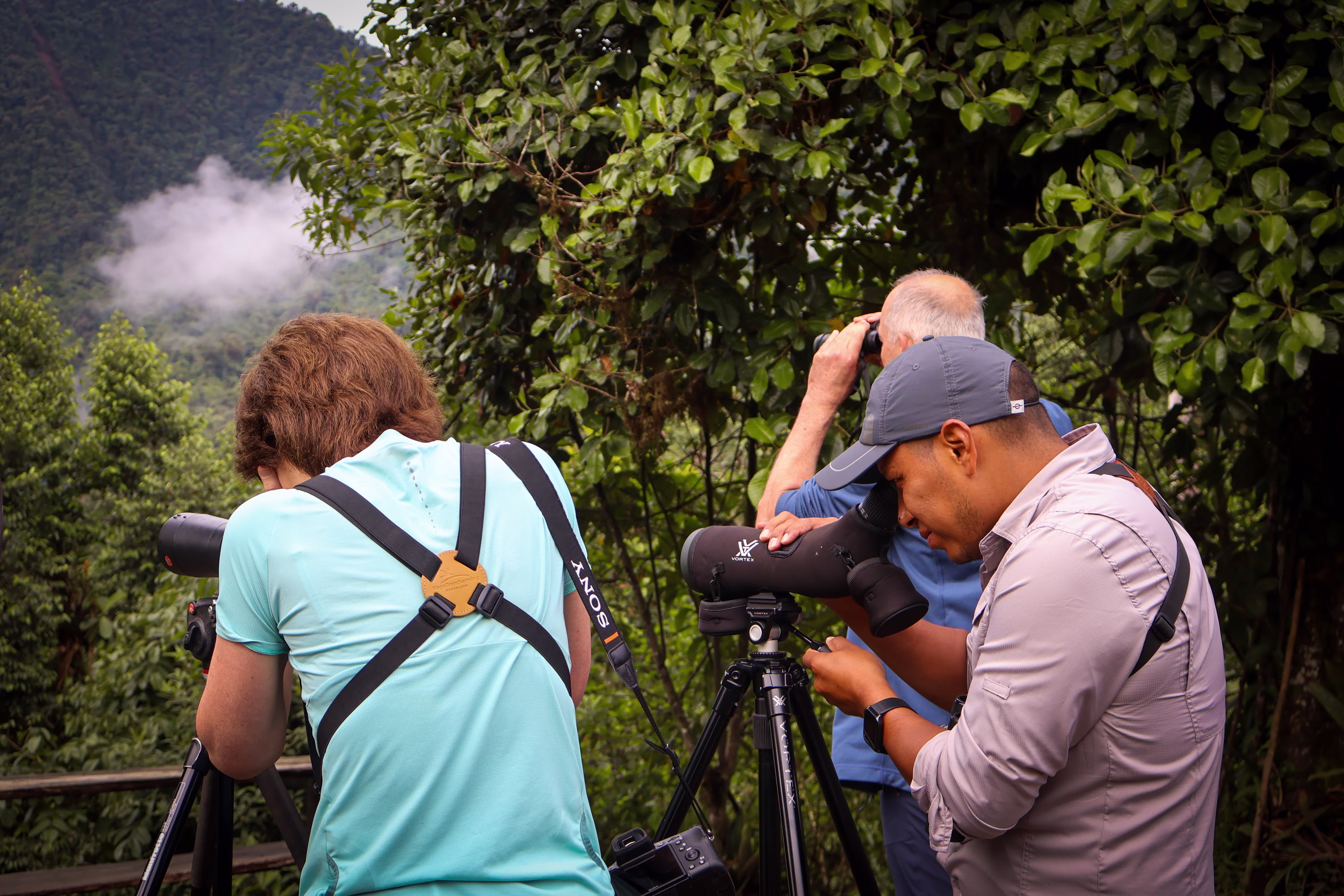 gallery.item.birdwatching_40
