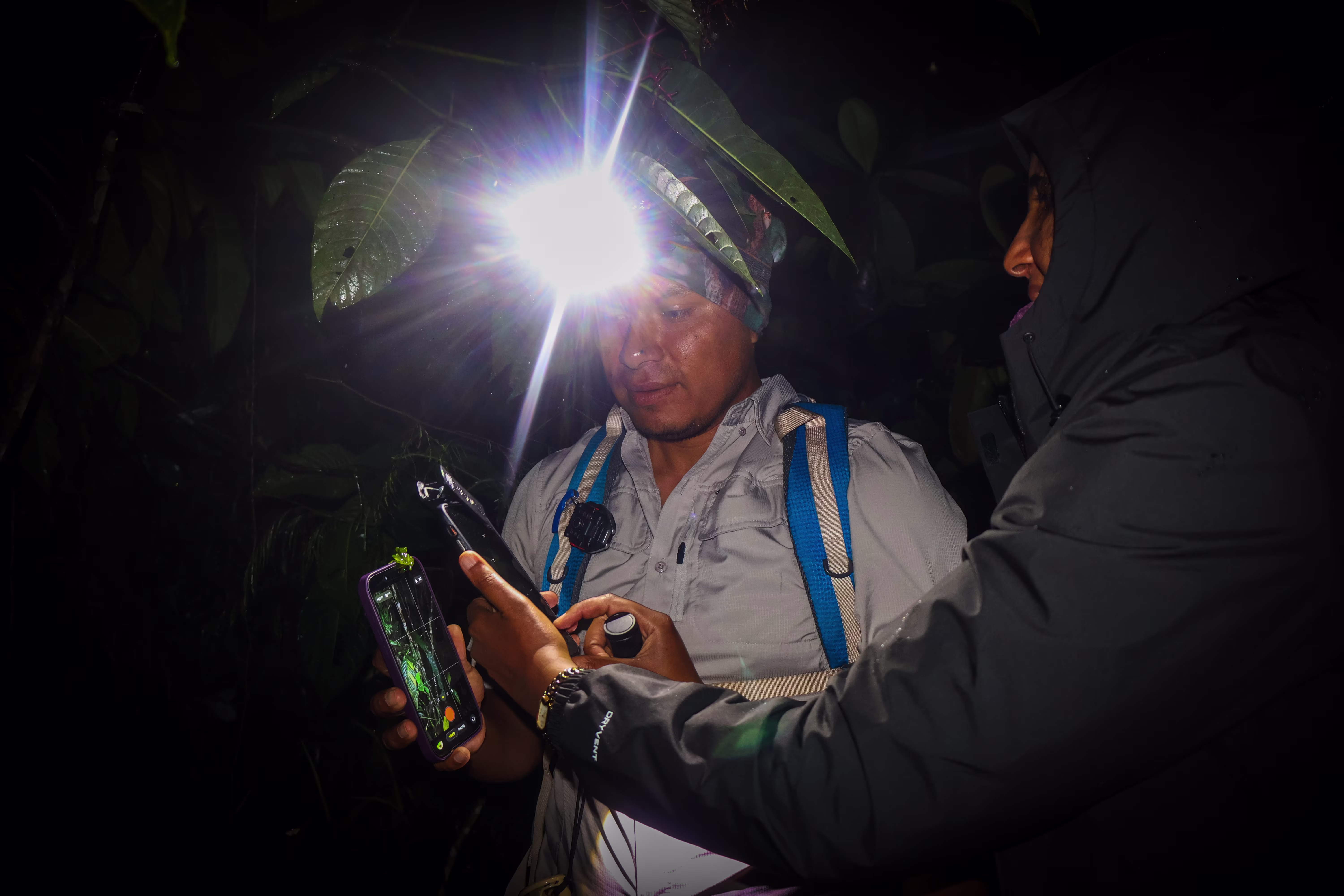 gallery.item.nightwalk_5
