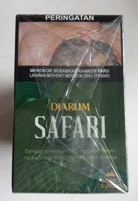 Safari 12 SLP