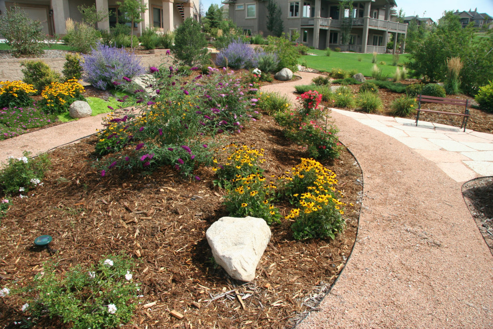 Native Plants for Landscape Design in Colorado