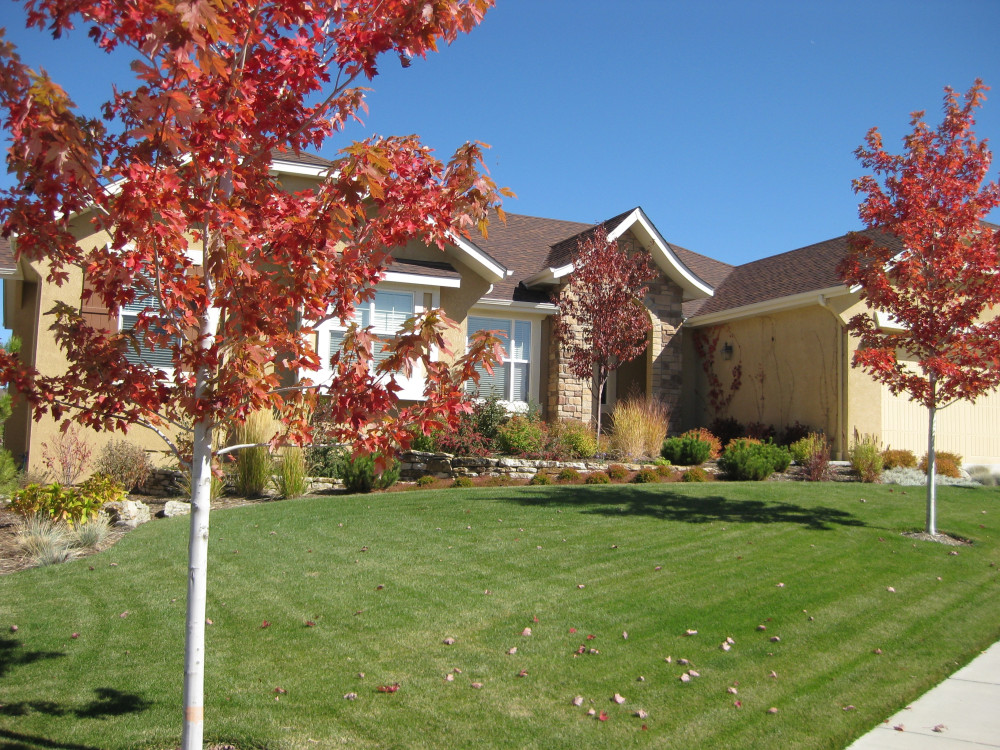 Landscape Maintenance Tips and Advice for the Fall Season