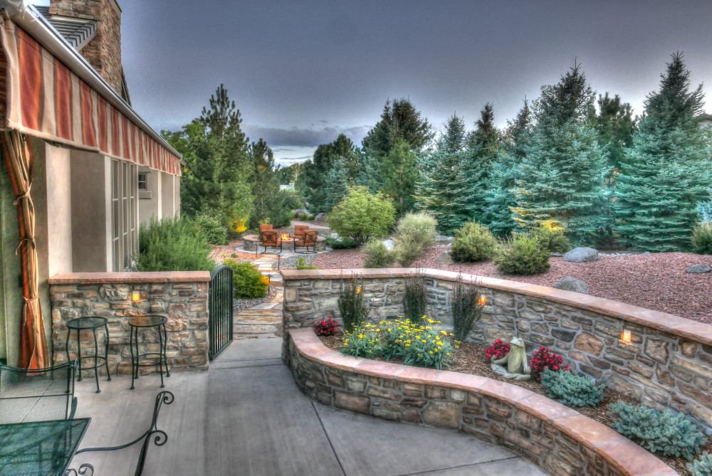 5 Best Trees for Residential Landscaping in Colorado Springs