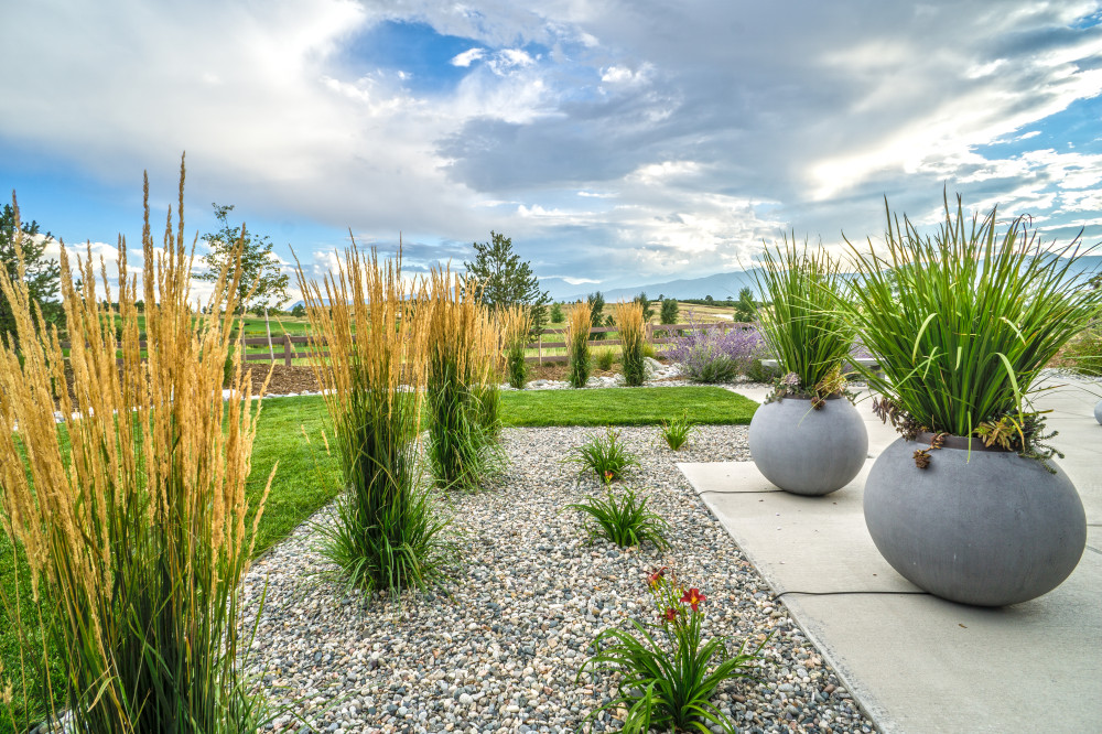 What are good Principles of Landscape Design?