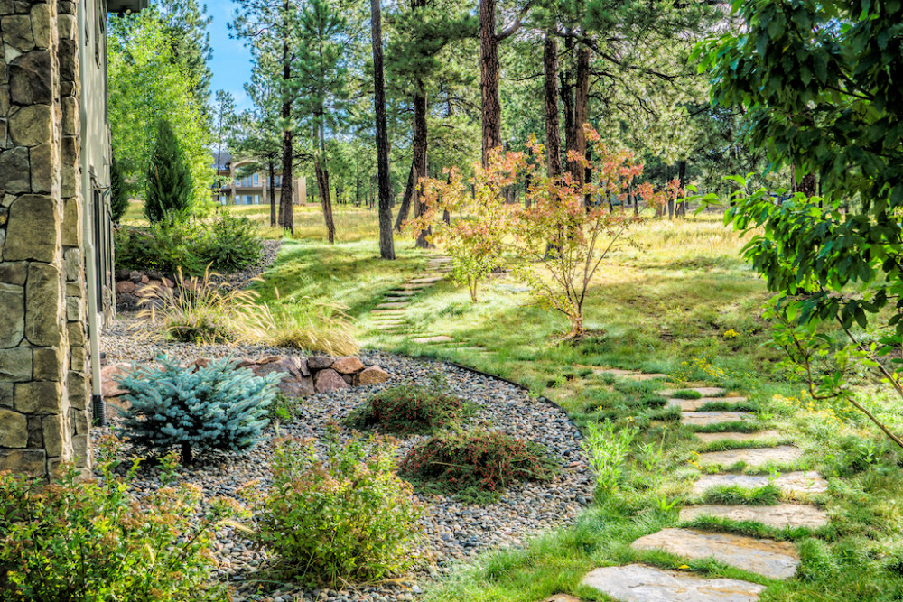 Landscape in the Forest