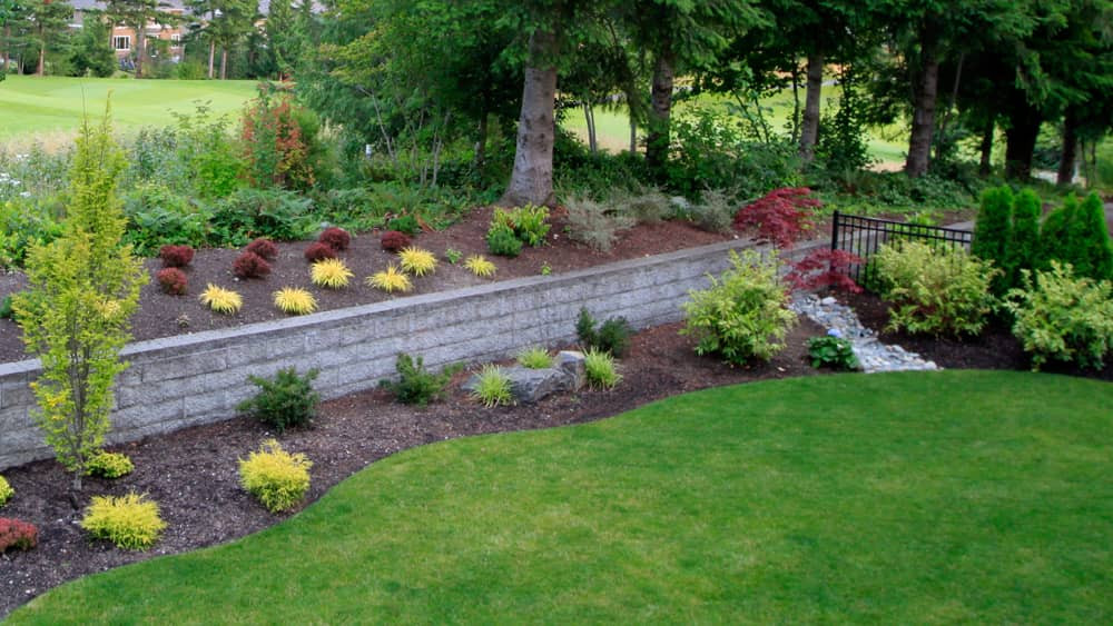 Landscaping vs The Hell-Strip: How to Fight Back