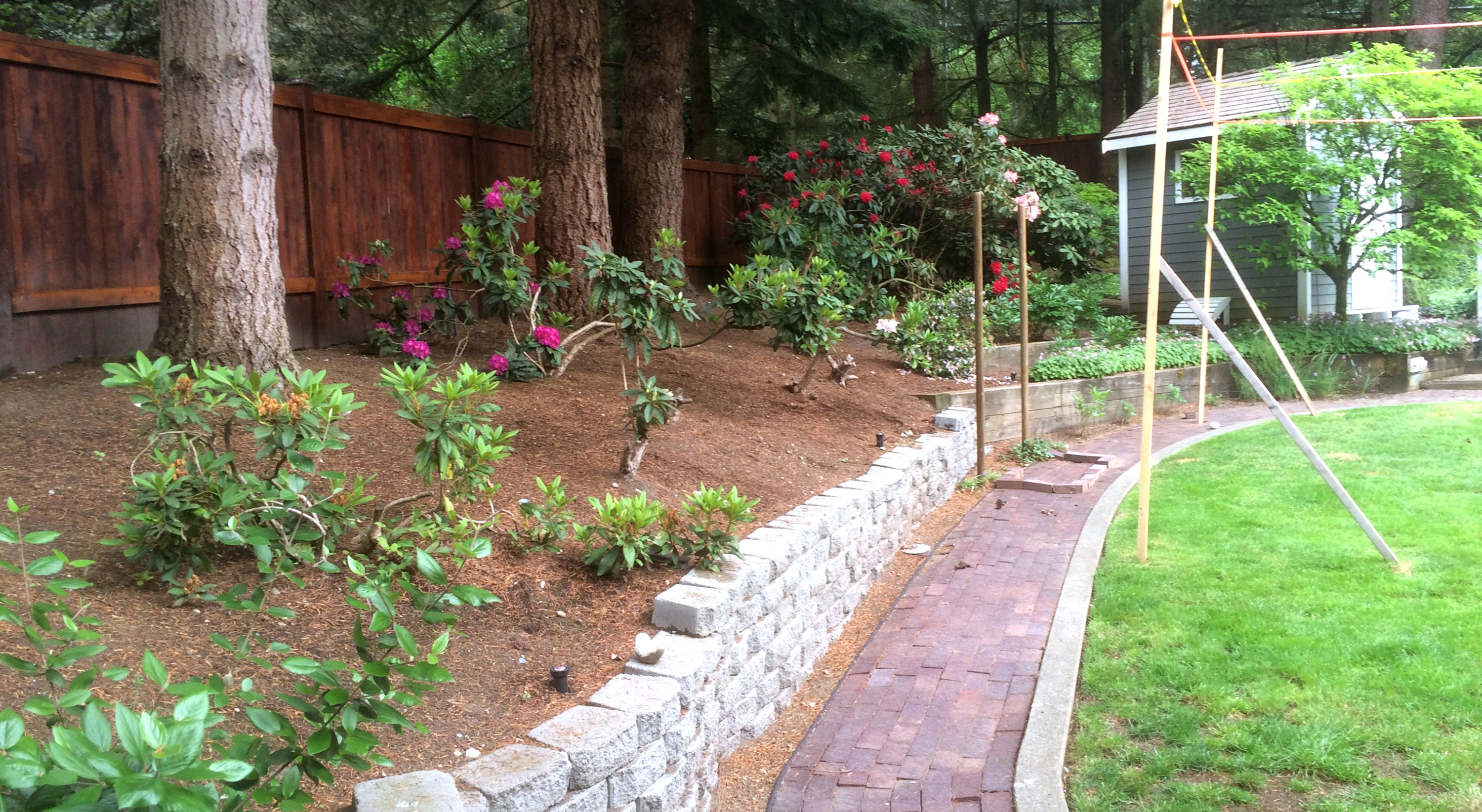 Bellevue Landcape Design Wildlife Sanctuary and Summertime Blooms After Photo