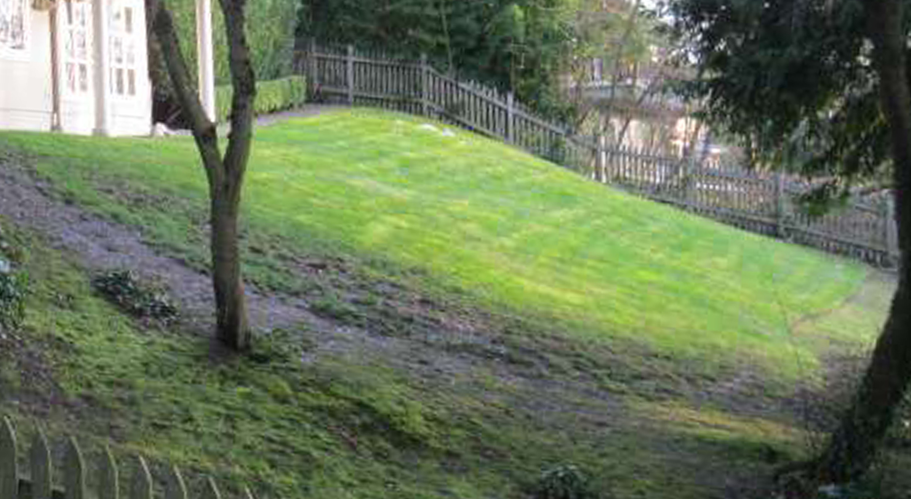 Bellevue Landcape Design Hillside Backyard Renovation After Photo