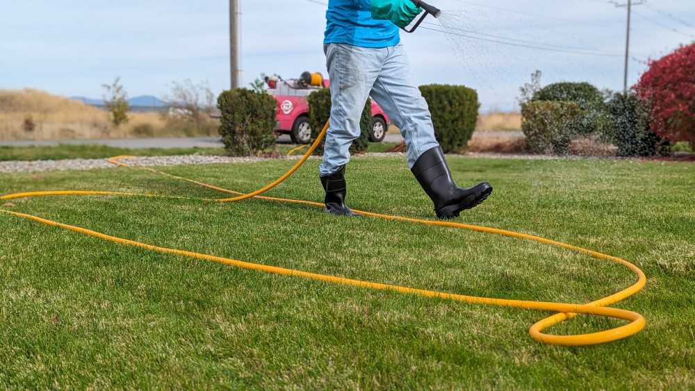 Fertilizer and Weed Control (for your lawn) Photo