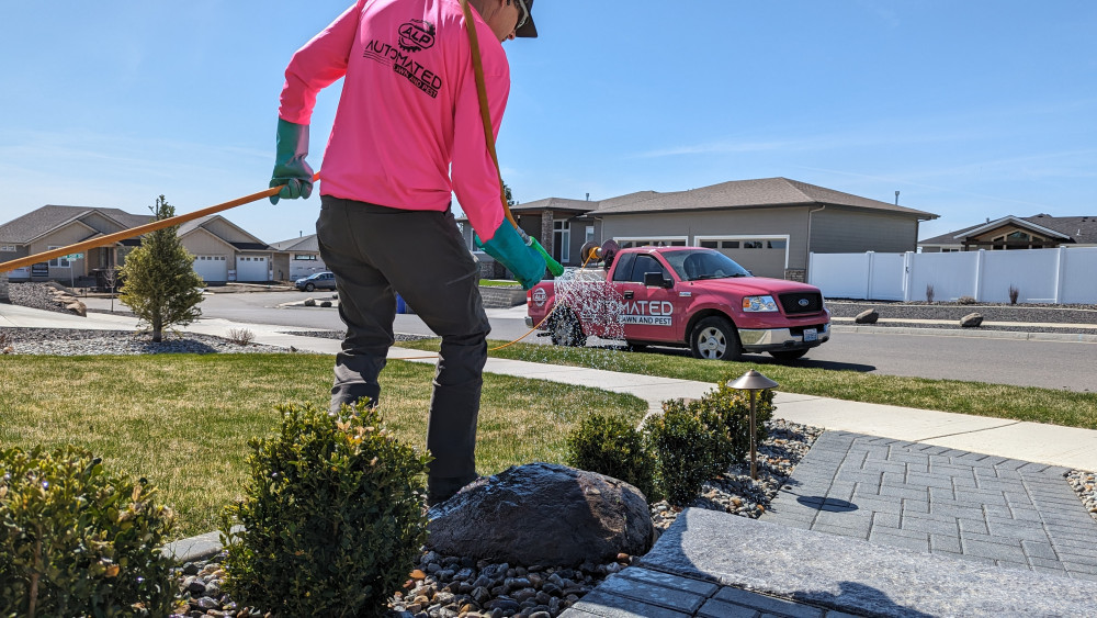 Shrub Bed Weed Control Photo