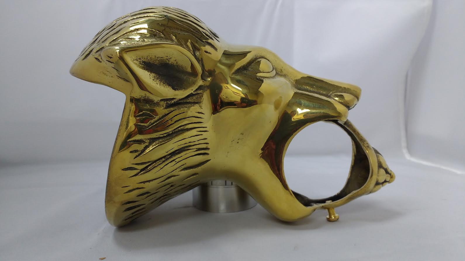 Polished Brass Lion Head Bracket (2in)