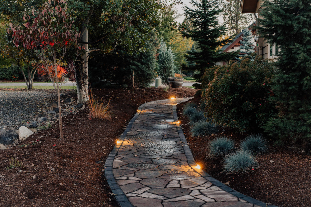 stone pathway with landscape lighting surrounded by shrubs and trees.