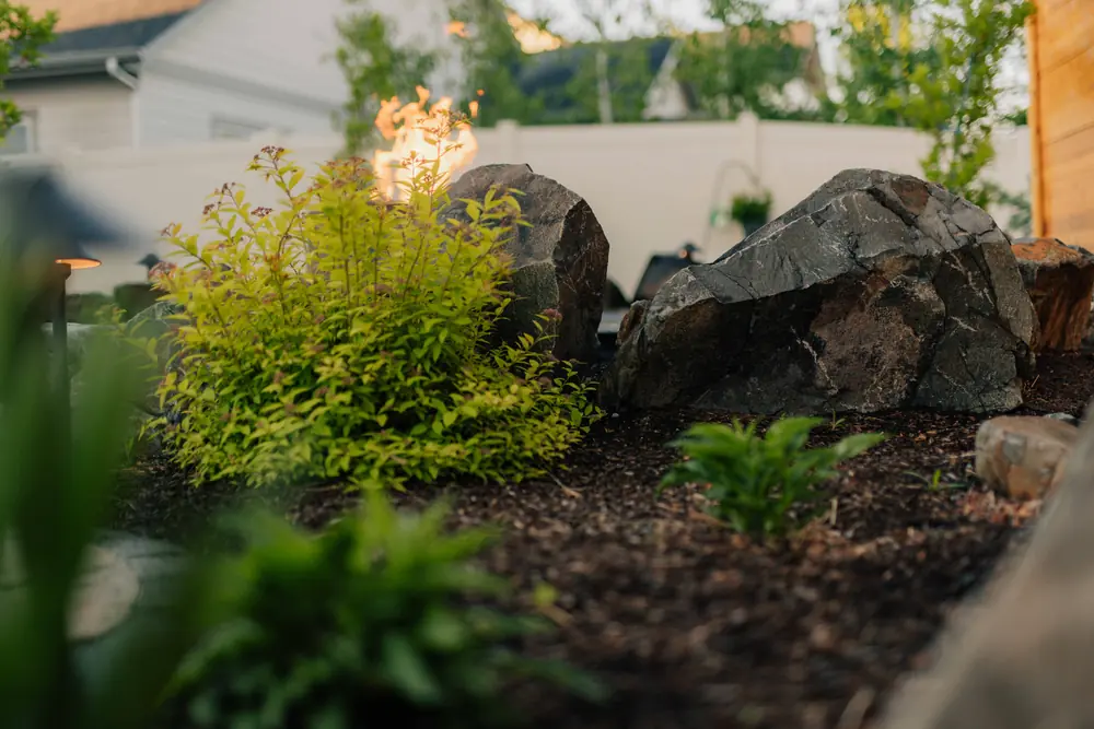 A mix of evergreen and deciduous plants for a variety of greens and year round color — Garden Beds by Cross Creek
