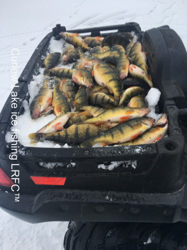 Curlew Lake Ice Fishing for Yellow Perch