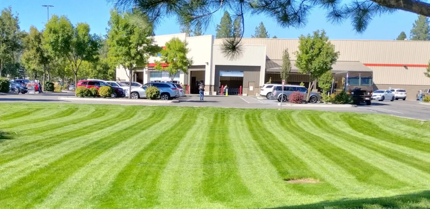 Mowing & Edging Services