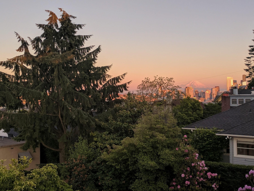 Improve your Seattle area backyard view by pruning or removing trees