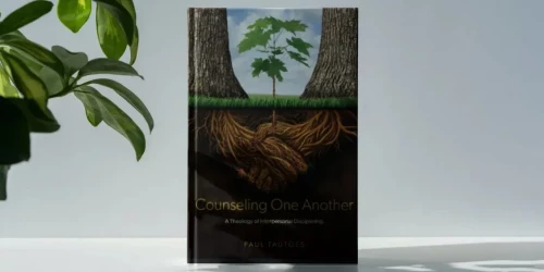 Book Review: Counseling One Another