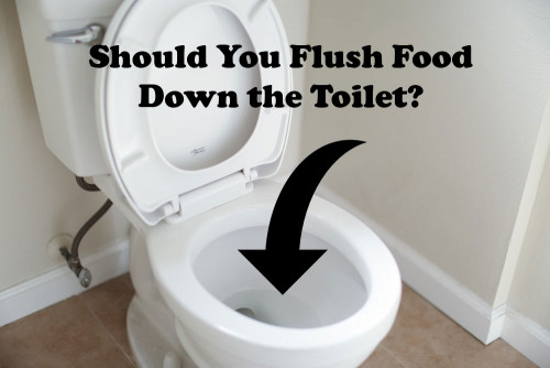 Should You Flush Food Down the Toilet?