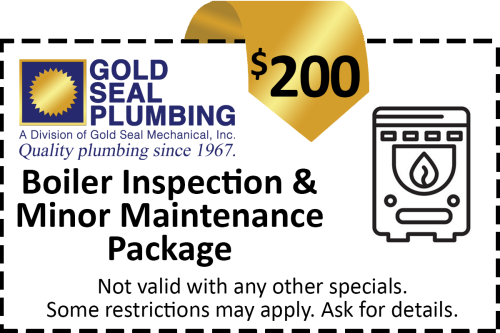 Boiler Inspection & Minor Maintenance Package