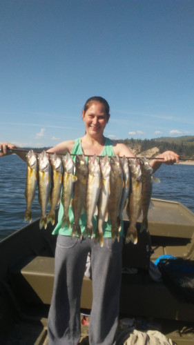 Lake Roosevelt Walleye fishing!