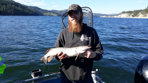 Another Lake Roosevelt Northern Pike