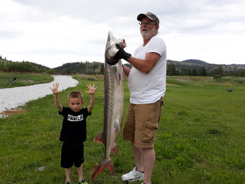 Lake Roosevelt keeper Sturgeon caught with Dean  B. 54" June 15, 2019 Slot Fish Rick