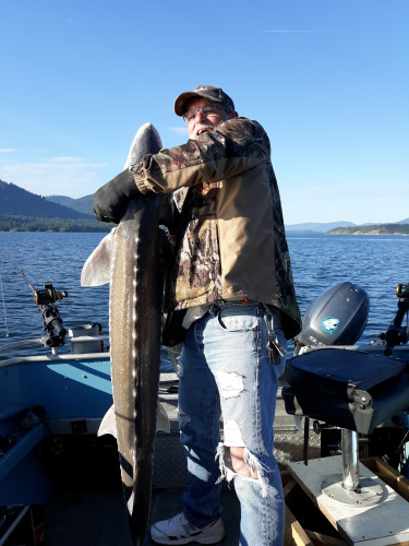 Lake Roosevelt Keeper Sturgeon 59" June 16, 2019 Way to go Slot Fish Rick
