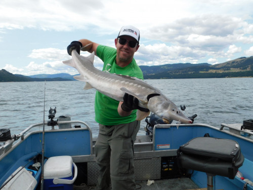 Lake Roosevelt Sturgeon Fishing July 20, 2019
