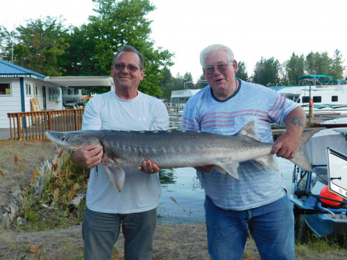 Lake Roosevelt Sturgeon Fishing July 20, 2019